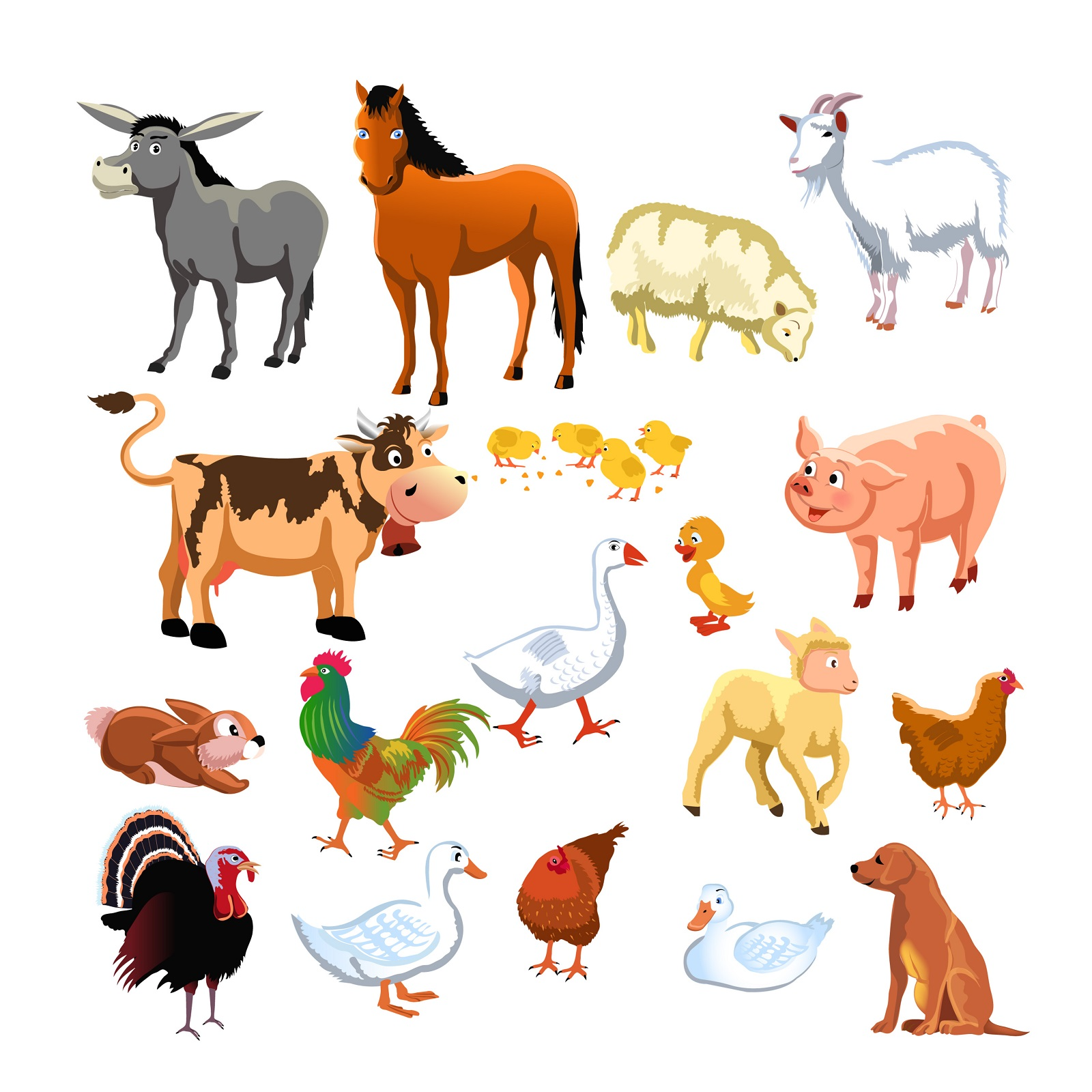 FlowElf: Know Your Farm Animals