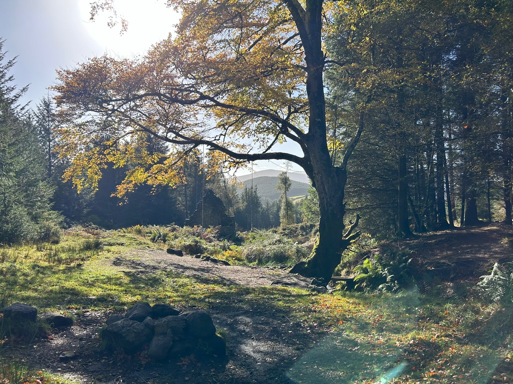 FlowElf: Glencree - places and stories