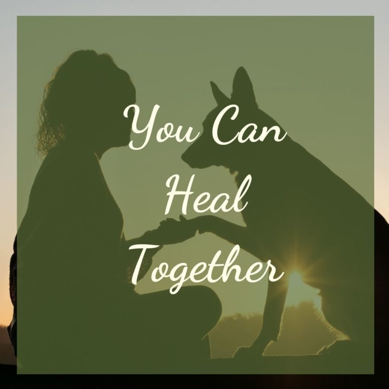 FlowElf: Holistic Animal Healing