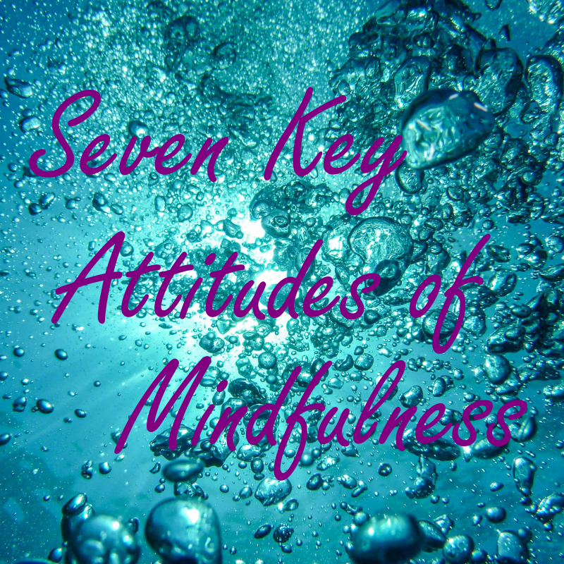 FlowElf: Seven Key Attitudes of Mindfulness