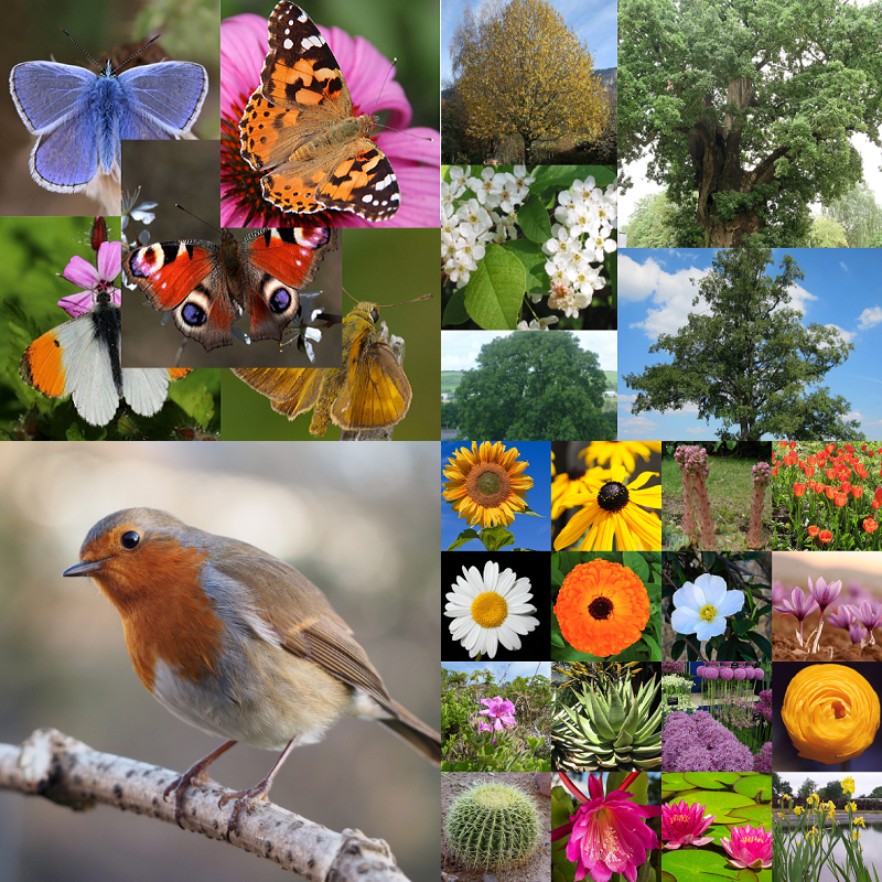 FlowElf: Nature