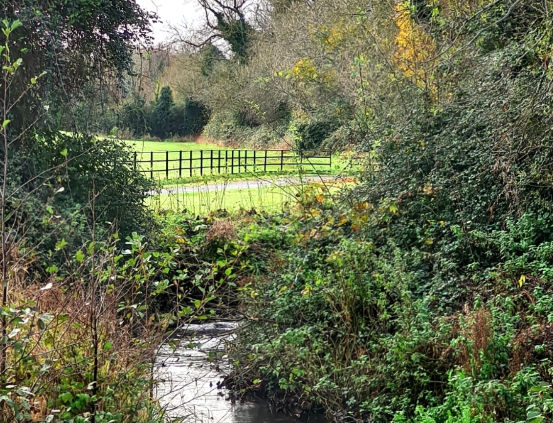 FlowElf: The River Camac